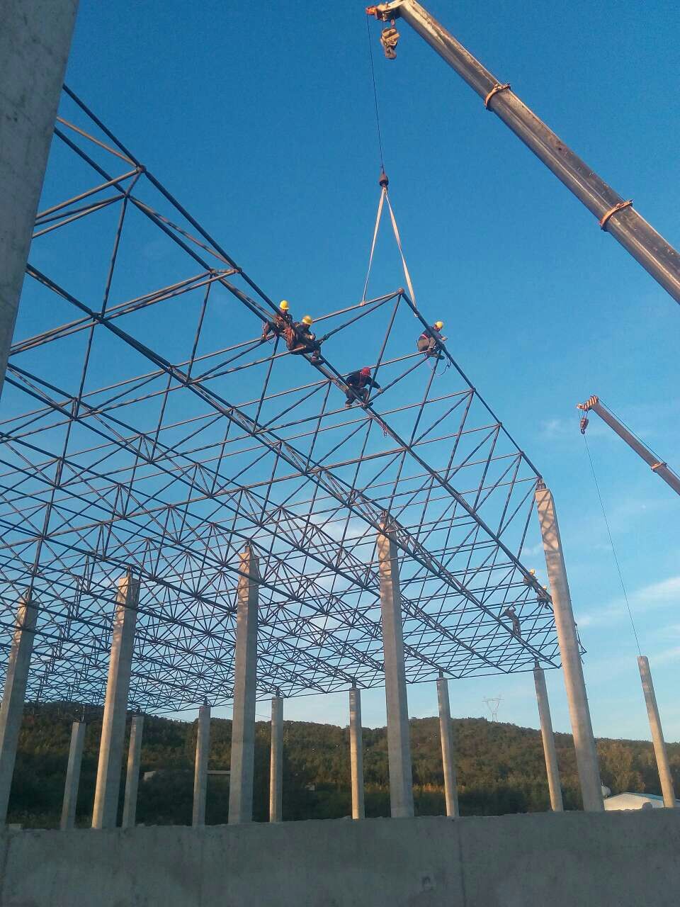 汪清物流園網架